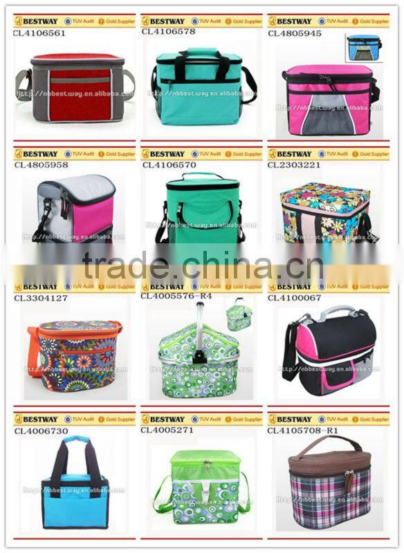 Cute lunch bags for teens/Mini lunch cooler bag/Washable lunch bag