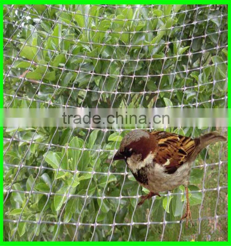 100% original HDPE raw material with UV additives Crop protection anti bird net jaring pelindung tanaman