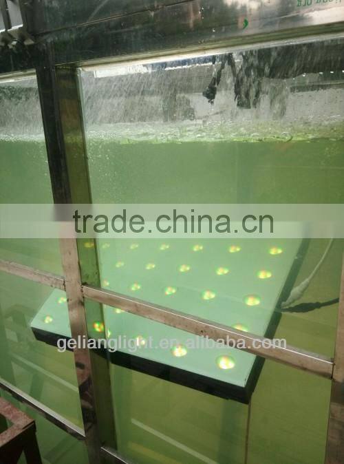 Thousand pcs exported LED Dance Floor / LED Floor Mat