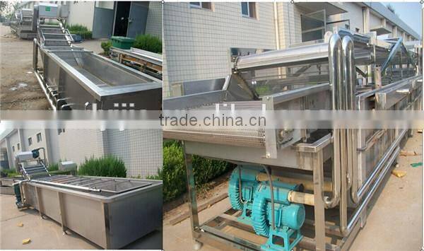 fruit and vegetable cleaning machine for sale