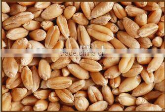 ANON manual seeder planter machine gardening planter mini seeder