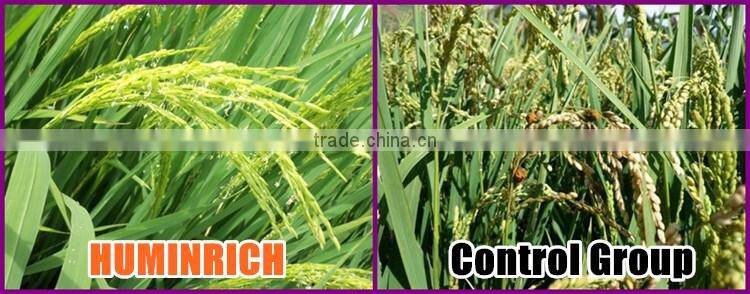 Huminrich Shenyang Organic Fertilizer As Plant Growth Regulator Potassium Humate Analysis Method