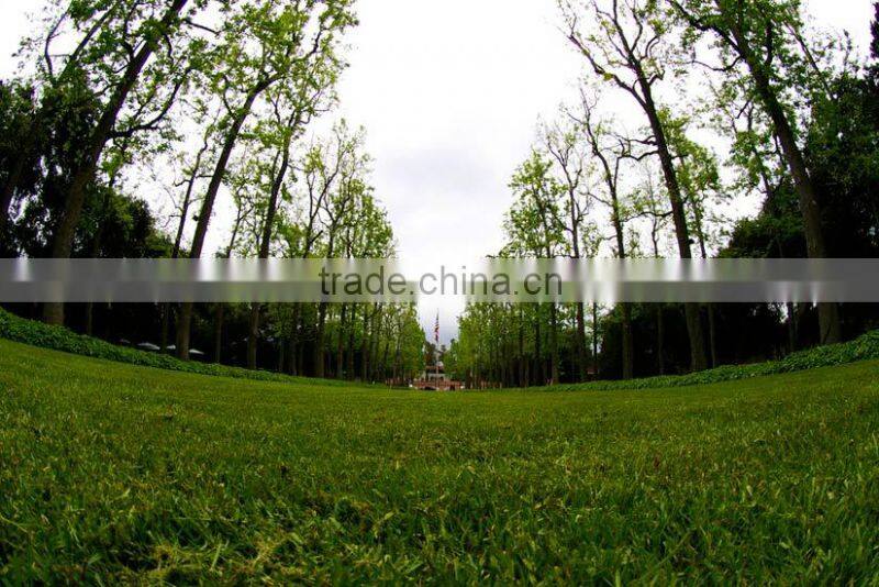 fisheye+macrol +wide angle lens mobile phone lens for iphone