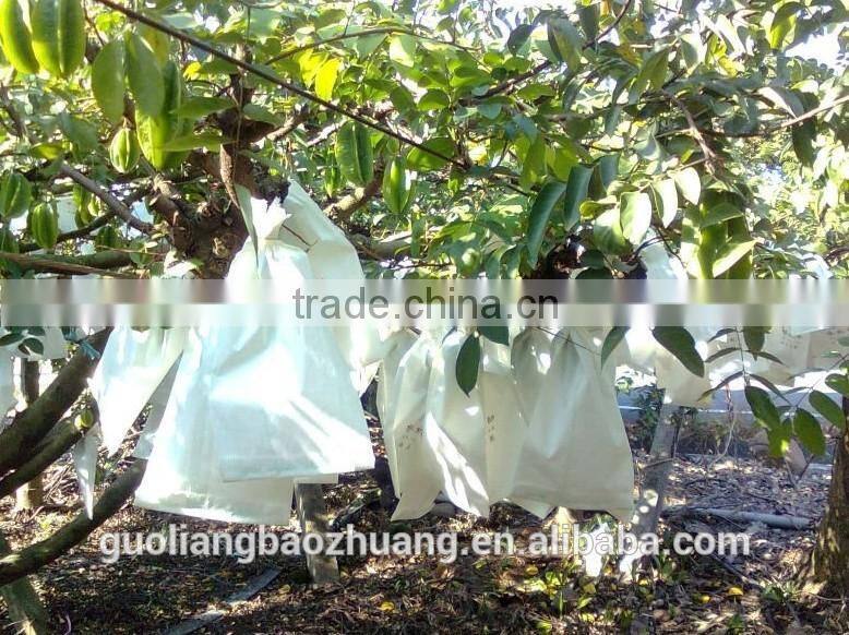 Resistant To Water Insect Against Protection Fruit Paper Bag