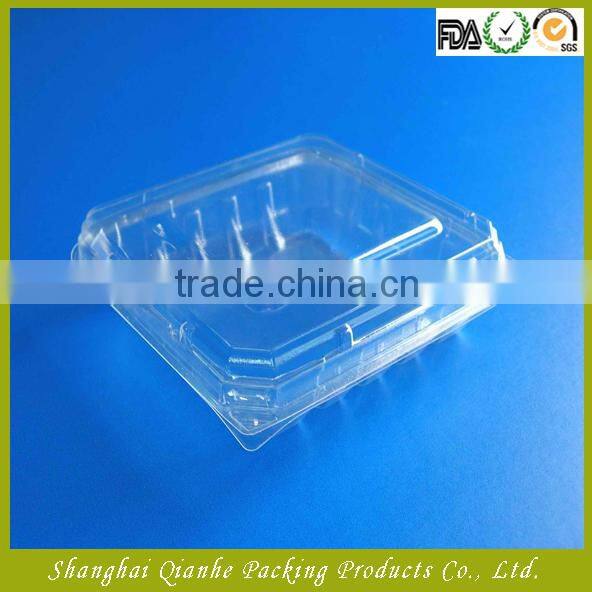 Thermoformed Plastic