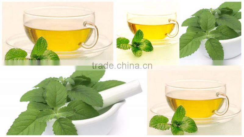 Best & Rich Tulsi Tea Bulk Exporter