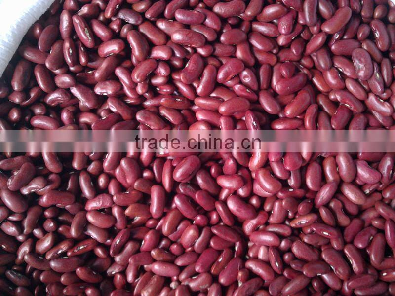 2015 Dark Red Kidney Bean shanxi orgin