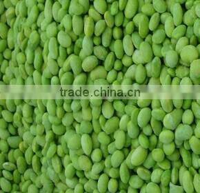 Hot sale IQF frozen green soybean kernels