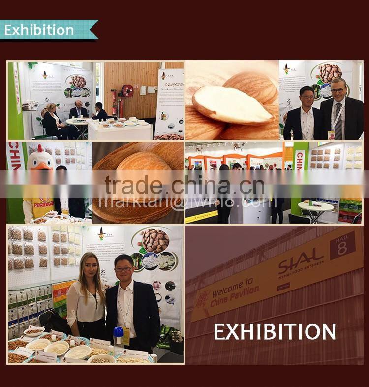 The blanched bitter apricot kernels/(GUANGBEI Type) made in china.