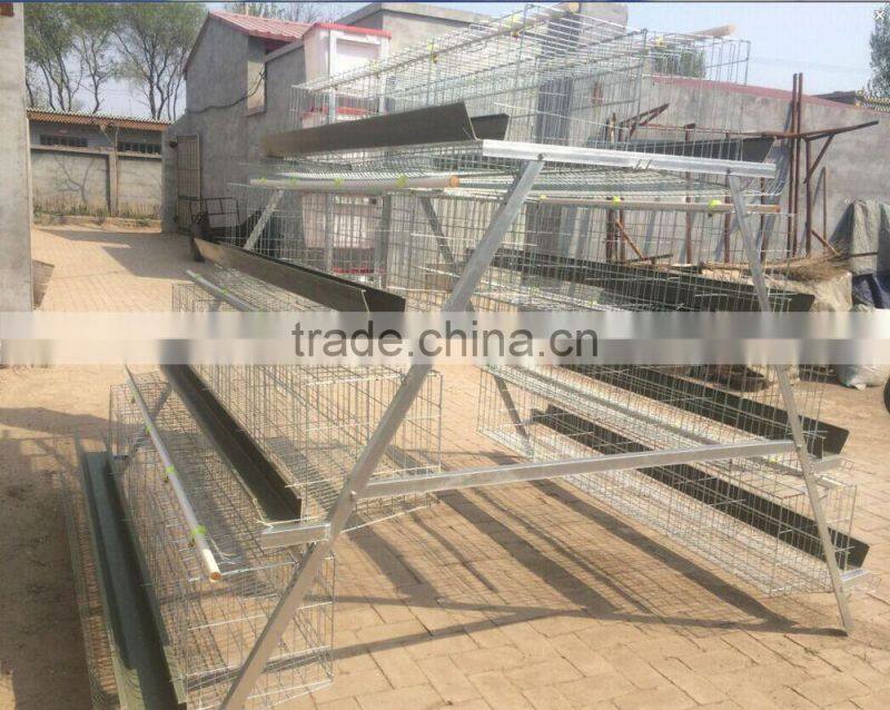 Trade assurance 100% payment guarantee factory price battery cages with long working time