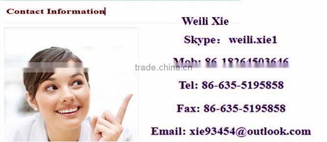 Casting tee bolt/T-casting with bolt and washer/Ss-bolt and ss-washer