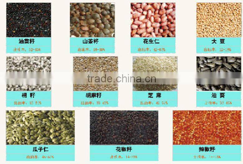 Automatic high yield professional cold press oil machine