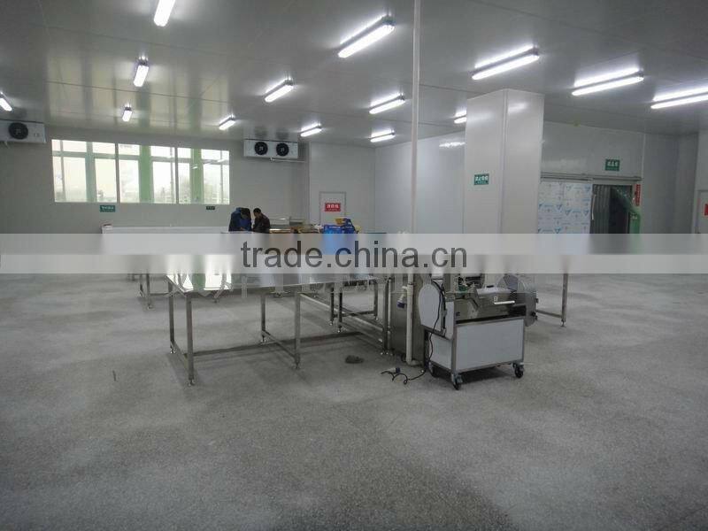 Zhuhai vegetables processing and distribution center for Hong Kong and Macao