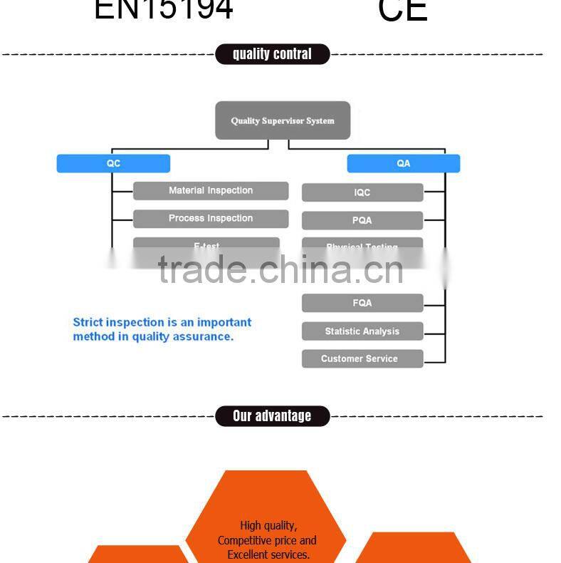 electric mountain bike 28" CST tire