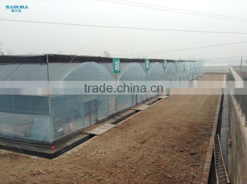 200 Micron Plastic Film Greenhouse For Vegetables