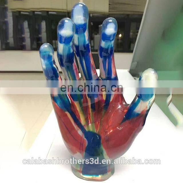 Surgical Training Manikin MJP 3D Printing Color Organ Model