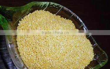 Chinese millet