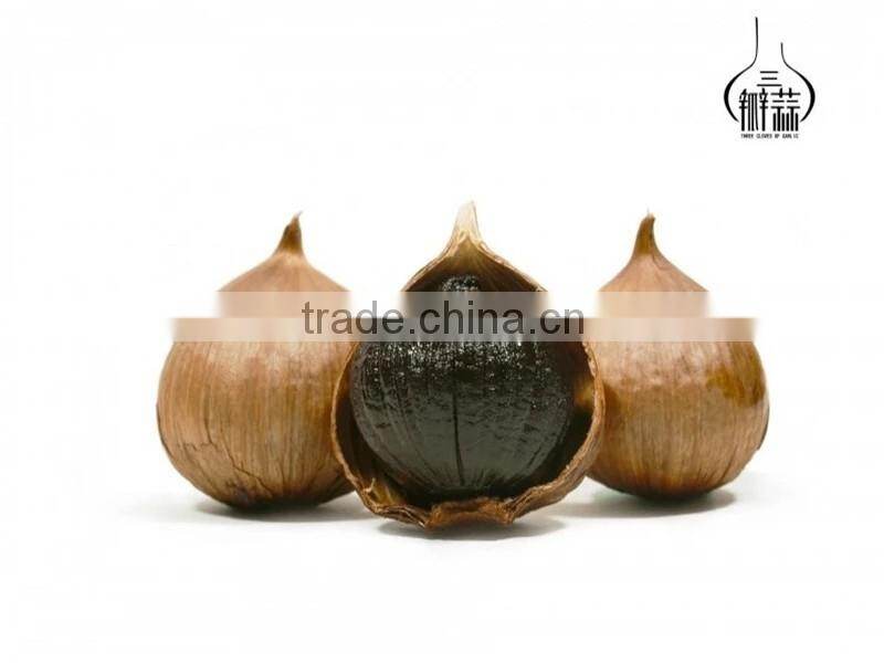 Jinxiang garlic factory supply black garlic