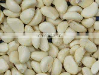 High Speed Garlic Peeler Garlic Peeling Machine Food & Beverage Shops 1 YEAR Field Installation Commissioning and Training