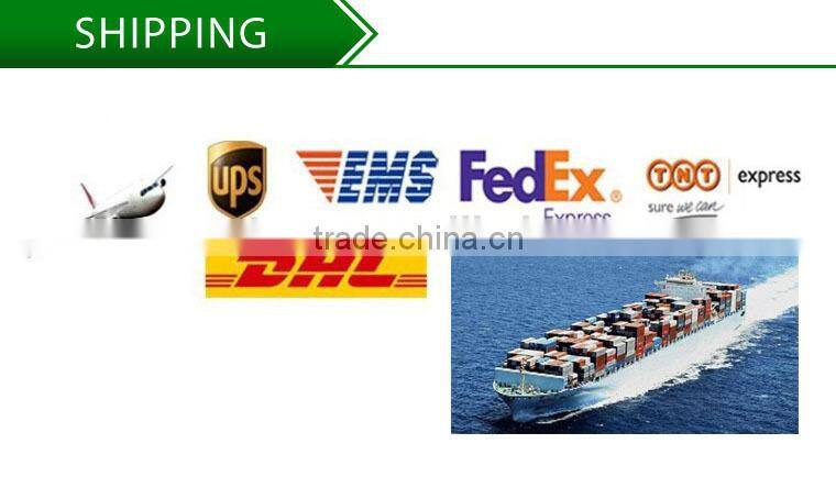 LED Wall Pack Full Cutoff 40W