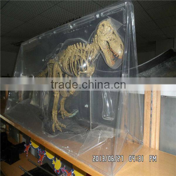 Plastic Model specimen package box
