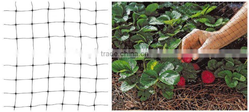 100% original HDPE raw material with UV additives Crop protection anti bird net jaring pelindung tanaman