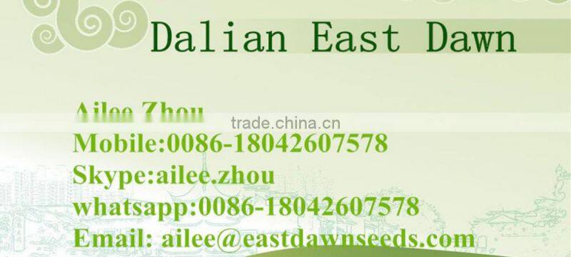 Chinese Agriculture Food Sunflower Oil Seeds