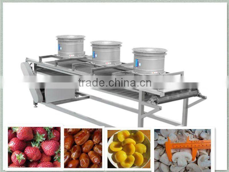 fruit drying machine/dehydration machine/industrial food dehydrator