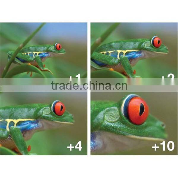 Factory Price 77mm +1+2+4+10 Close up lenses Camera Macro 77mm Close-up lens filter Set for DSLR CAMERA