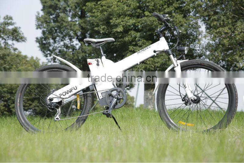 Haoling Seagull - electric bike motor mid drive, electric motor bike
