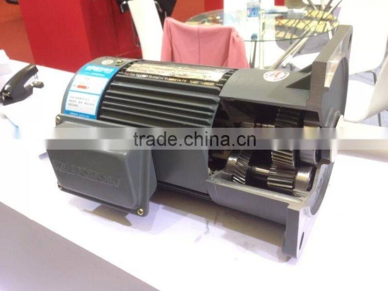 Single Phase Electric Motor with Reduction Gear