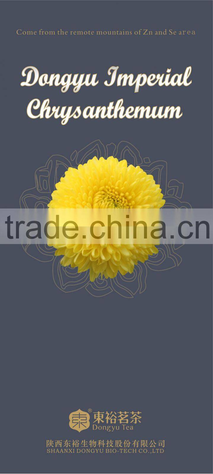 ancient Chinese tea chrysanthemum drink tcm medicine