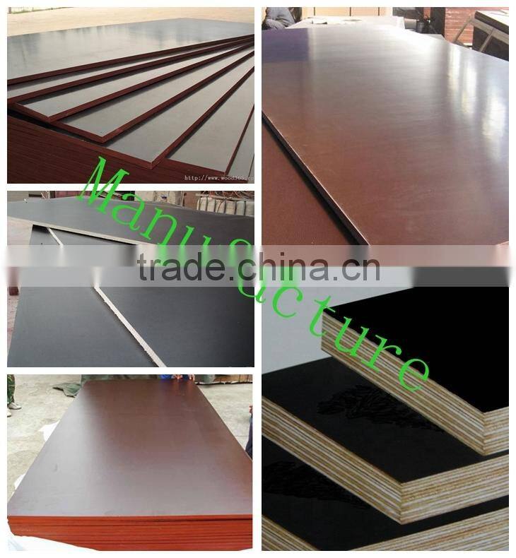Best Quality Formwork Plywood/ Shuttering Plywood for Construction