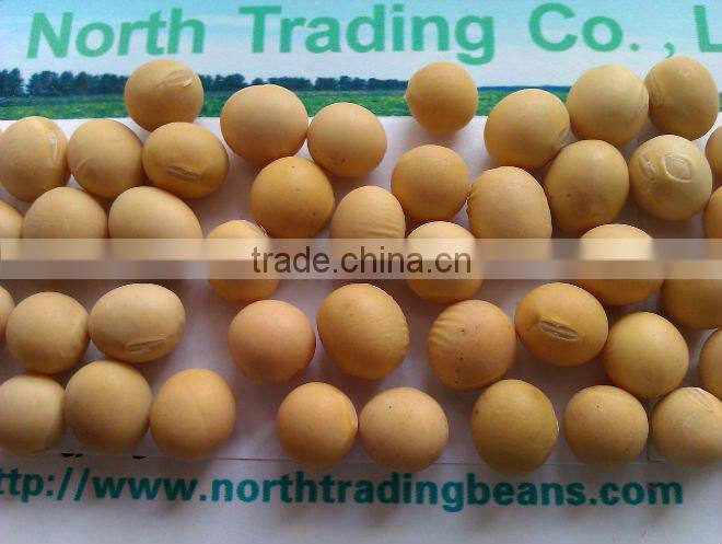 Organic Soybean( 2013 crop, Heilongjiang Origin. high protein)