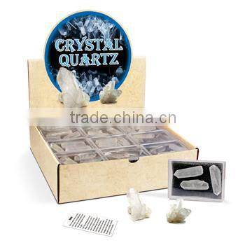 Nature Crystal Quartz Lover Collection and Display Kit