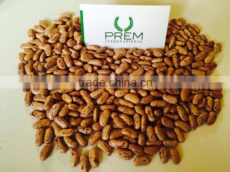 Kidney Beans