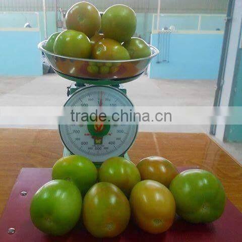 FRESH TOMATOES cheap