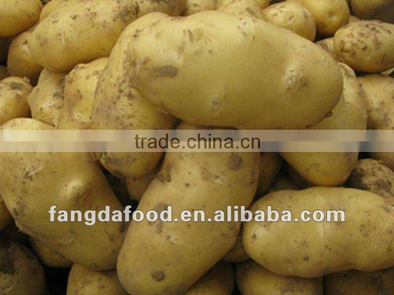 100-150gm potato