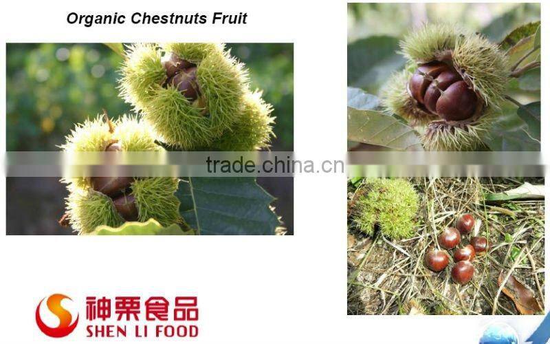Healthy Chinese Snacks Food---Ready to Eat Chestnuts Snacks
