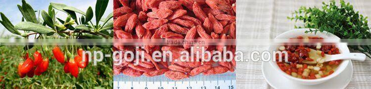 Dried Goji Berry