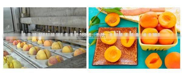 Industrial fruit corer peach corer