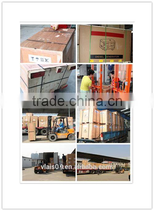 3 Type Gasoline VIBRATORY PLATE Compactor/hand held plate compactor