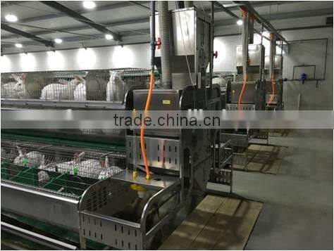 cages rabbit the new rabbit cage equipment