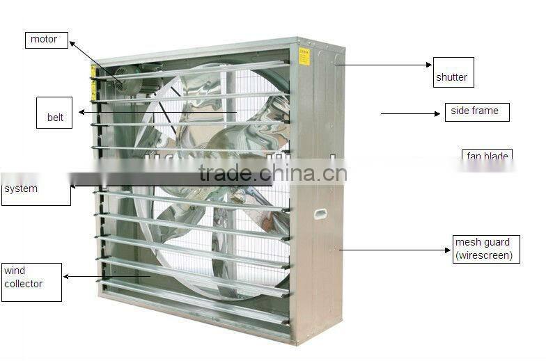 DLF wall box type industrial exhaust fan