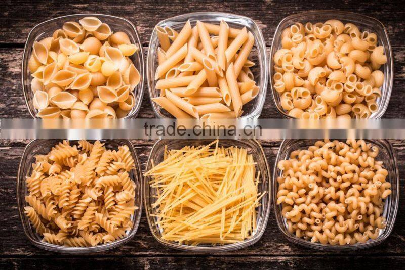 China small scale industrial macaroni making machine pasta machine