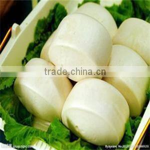 commercial bread making machine flour mixer dough mixer in Shandong