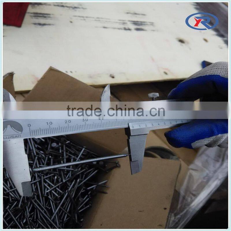 cheap price polishing Common Nails/Common Wire Nails made in china