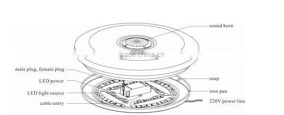 bluetooth ceiling lamp