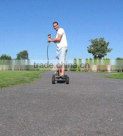 Petrol Motorised skateboard