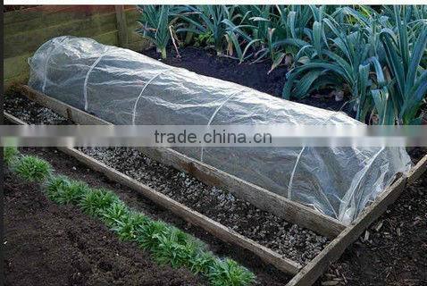 Exported agricultural perforated plastic film for tomato cover